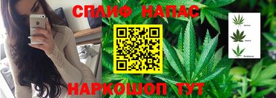 МДПВ Беслан