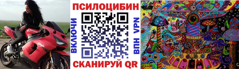 Галлюциногенные грибы Psilocybine cubensis  блэк спрут вход  Дербент 