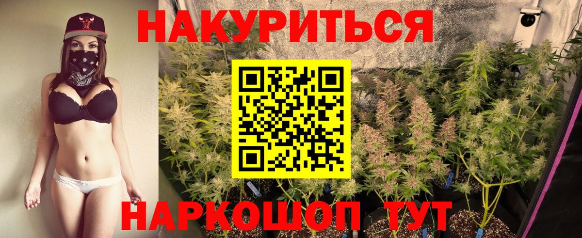 Бошки марихуана Bruce Banner  Канабис MAZAR  Дербент  Вход с VPN 